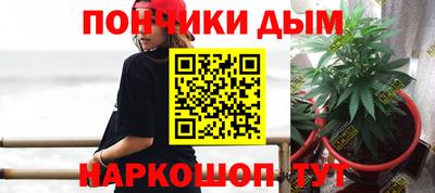 МДПВ Новозыбков
