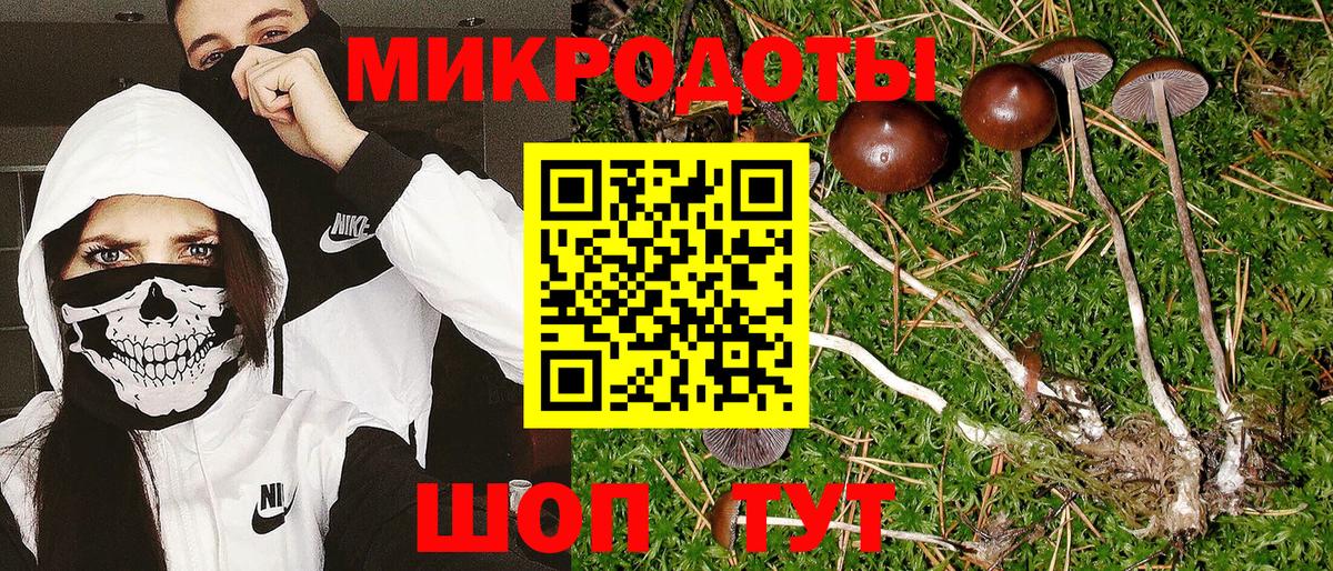 Галлюциногенные грибы Psilocybe Орёл